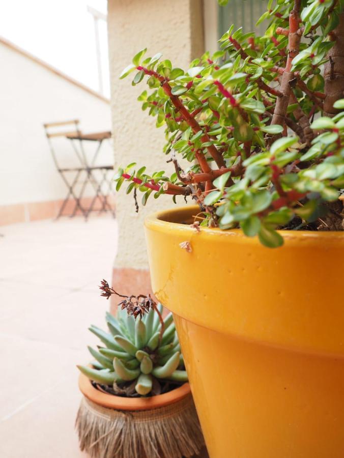 Apartaments La Rambla - Licorella - 4 Persones 科尔努德利亚 外观 照片